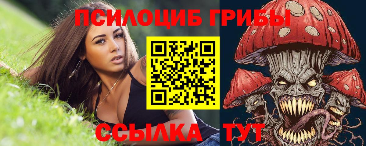 Галлюциногенные грибы Magic Shrooms  Вход с VPN  Каспийск  Галлюциногенные грибы ЛСД 