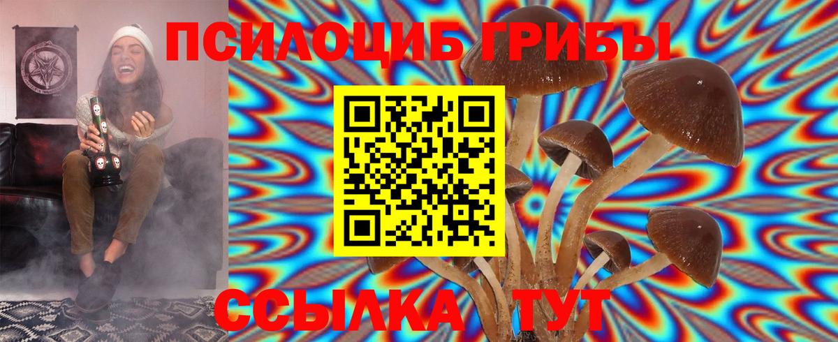 Псилоцибиновые грибы ЛСД Каспийск